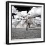 Awesome South Africa Collection Square - Another Look Savannah-Philippe Hugonnard-Framed Photographic Print