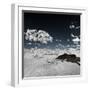 Awesome South Africa Collection Square - Another Look Savannah-Philippe Hugonnard-Framed Photographic Print