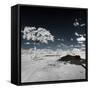 Awesome South Africa Collection Square - Another Look Savannah-Philippe Hugonnard-Framed Stretched Canvas