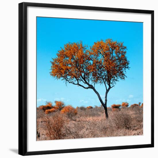 Awesome South Africa Collection Square - Autumn Tree Heart-Philippe Hugonnard-Framed Photographic Print