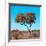 Awesome South Africa Collection Square - Autumn Tree Heart-Philippe Hugonnard-Framed Photographic Print