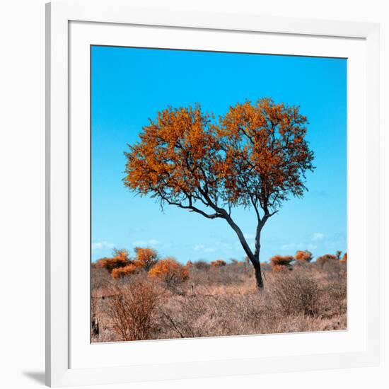 Awesome South Africa Collection Square - Autumn Tree Heart-Philippe Hugonnard-Framed Photographic Print