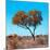 Awesome South Africa Collection Square - Autumn Tree Heart-Philippe Hugonnard-Mounted Photographic Print