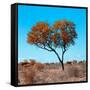 Awesome South Africa Collection Square - Autumn Tree Heart-Philippe Hugonnard-Framed Stretched Canvas