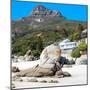 Awesome South Africa Collection Square - Boulders Beach Cape Town I-Philippe Hugonnard-Mounted Photographic Print