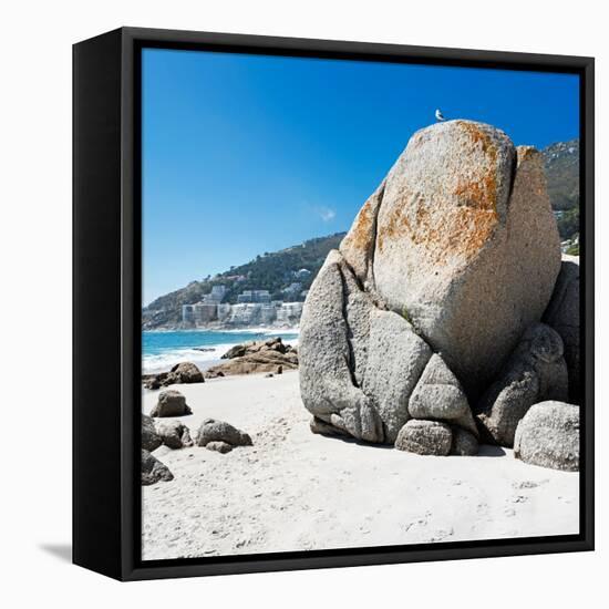 Awesome South Africa Collection Square - Boulders Beach Cape Town II-Philippe Hugonnard-Framed Stretched Canvas