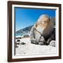 Awesome South Africa Collection Square - Boulders Beach Cape Town II-Philippe Hugonnard-Framed Photographic Print