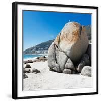 Awesome South Africa Collection Square - Boulders Beach Cape Town II-Philippe Hugonnard-Framed Photographic Print