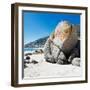 Awesome South Africa Collection Square - Boulders Beach Cape Town II-Philippe Hugonnard-Framed Photographic Print