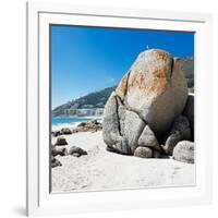 Awesome South Africa Collection Square - Boulders Beach Cape Town II-Philippe Hugonnard-Framed Photographic Print