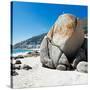 Awesome South Africa Collection Square - Boulders Beach Cape Town II-Philippe Hugonnard-Stretched Canvas