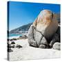 Awesome South Africa Collection Square - Boulders Beach Cape Town II-Philippe Hugonnard-Stretched Canvas