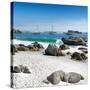 Awesome South Africa Collection Square - Boulders Beach Cape Town IV-Philippe Hugonnard-Stretched Canvas