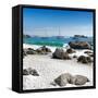 Awesome South Africa Collection Square - Boulders Beach Cape Town IV-Philippe Hugonnard-Framed Stretched Canvas