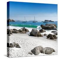 Awesome South Africa Collection Square - Boulders Beach Cape Town IV-Philippe Hugonnard-Stretched Canvas