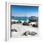 Awesome South Africa Collection Square - Boulders Beach Cape Town IV-Philippe Hugonnard-Framed Photographic Print