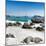 Awesome South Africa Collection Square - Boulders Beach Cape Town IV-Philippe Hugonnard-Mounted Photographic Print