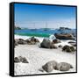 Awesome South Africa Collection Square - Boulders Beach Cape Town IV-Philippe Hugonnard-Framed Stretched Canvas