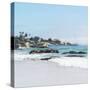 Awesome South Africa Collection Square - Boulders Beach Cape Town V-Philippe Hugonnard-Stretched Canvas