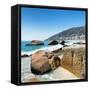 Awesome South Africa Collection Square - Boulders Beach Cape Town-Philippe Hugonnard-Framed Stretched Canvas