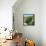 Awesome South Africa Collection Square - Cactus Tree-Philippe Hugonnard-Framed Stretched Canvas displayed on a wall