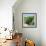 Awesome South Africa Collection Square - Cactus Tree-Philippe Hugonnard-Framed Photographic Print displayed on a wall