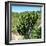 Awesome South Africa Collection Square - Cactus Tree-Philippe Hugonnard-Framed Photographic Print