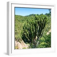 Awesome South Africa Collection Square - Cactus Tree-Philippe Hugonnard-Framed Photographic Print