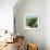 Awesome South Africa Collection Square - Cactus Tree-Philippe Hugonnard-Framed Photographic Print displayed on a wall