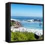 Awesome South Africa Collection Square - Clifton Beach Cape Town-Philippe Hugonnard-Framed Stretched Canvas