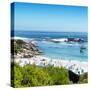 Awesome South Africa Collection Square - Clifton Beach Cape Town-Philippe Hugonnard-Stretched Canvas