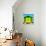 Awesome South Africa Collection Square - Close-Up Colorful Beach Hut - Green & Yellow-Philippe Hugonnard-Photographic Print displayed on a wall