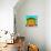 Awesome South Africa Collection Square - Close-Up Colorful Beach Hut - Lime & Orange-Philippe Hugonnard-Photographic Print displayed on a wall