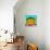 Awesome South Africa Collection Square - Close-Up Colorful Beach Hut - Lime & Orange-Philippe Hugonnard-Mounted Photographic Print displayed on a wall