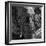 Awesome South Africa Collection Square - Close-Up of African Elephant B&W-Philippe Hugonnard-Framed Photographic Print