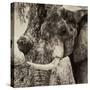 Awesome South Africa Collection Square - Close-Up of Elephant Sepia-Philippe Hugonnard-Stretched Canvas