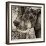 Awesome South Africa Collection Square - Close-Up of Elephant Sepia-Philippe Hugonnard-Framed Photographic Print
