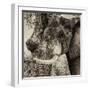 Awesome South Africa Collection Square - Close-Up of Elephant Sepia-Philippe Hugonnard-Framed Photographic Print