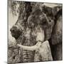 Awesome South Africa Collection Square - Close-Up of Elephant Sepia-Philippe Hugonnard-Mounted Photographic Print