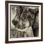 Awesome South Africa Collection Square - Close-Up of Elephant Sepia-Philippe Hugonnard-Framed Photographic Print