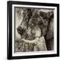 Awesome South Africa Collection Square - Close-Up of Elephant Sepia-Philippe Hugonnard-Framed Photographic Print