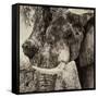 Awesome South Africa Collection Square - Close-Up of Elephant Sepia-Philippe Hugonnard-Framed Stretched Canvas