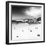 Awesome South Africa Collection Square - Colony of Penguins B&W-Philippe Hugonnard-Framed Photographic Print