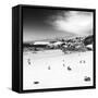 Awesome South Africa Collection Square - Colony of Penguins B&W-Philippe Hugonnard-Framed Stretched Canvas