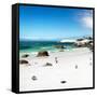 Awesome South Africa Collection Square - Colony of Penguins II-Philippe Hugonnard-Framed Stretched Canvas