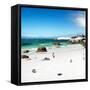 Awesome South Africa Collection Square - Colony of Penguins II-Philippe Hugonnard-Framed Stretched Canvas