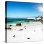 Awesome South Africa Collection Square - Colony of Penguins II-Philippe Hugonnard-Stretched Canvas