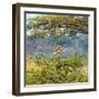 Awesome South Africa Collection Square - Curious Giraffe-Philippe Hugonnard-Framed Photographic Print