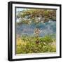 Awesome South Africa Collection Square - Curious Giraffe-Philippe Hugonnard-Framed Photographic Print