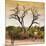 Awesome South Africa Collection Square - Dead Acacia Tree at Sunset-Philippe Hugonnard-Mounted Photographic Print